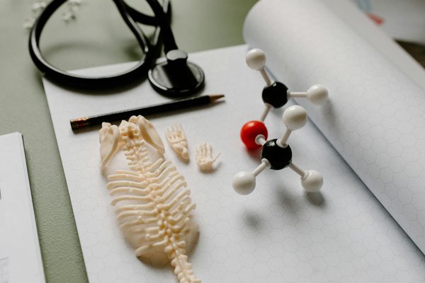 Comment utiliser les huiles essentielles pour soutenir un régime minceur ?