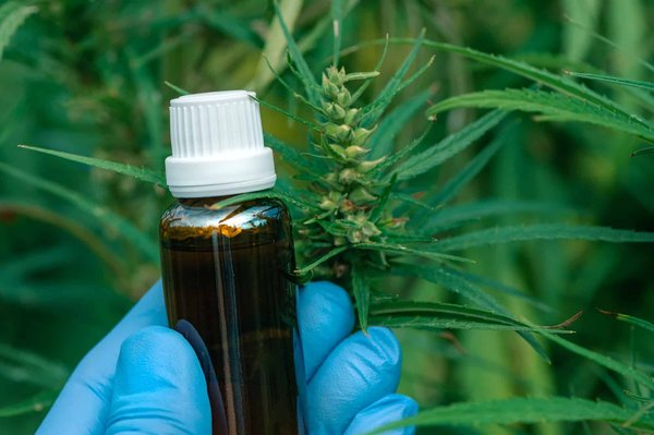 Est-ce que le CBD est efficace pour traiter les problèmes de sommeil ?