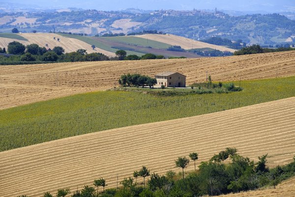 les bienfaits de la marche pour le bien-être cardiovasculaire et mental